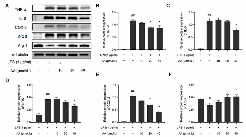 Wu Zhihao,et al-2.png