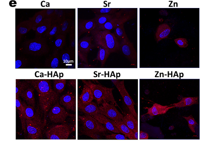 35688402 ET1601-21.png