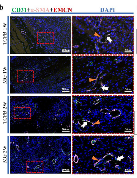 36970815 M1511-8.png