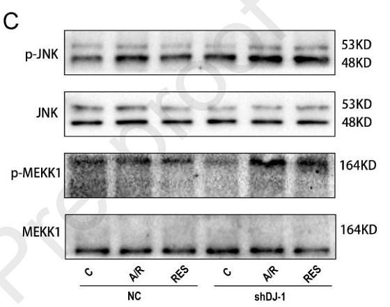 37149277 ET1609-42.jpg