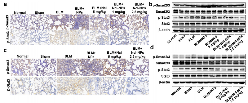 36347425 ET1609-41.png