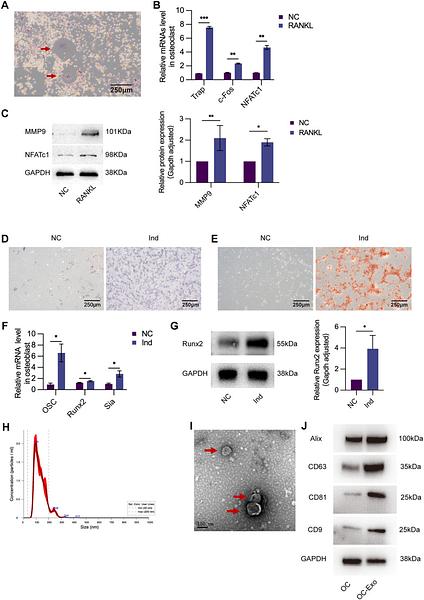 37441084 ET1705-74.jpg