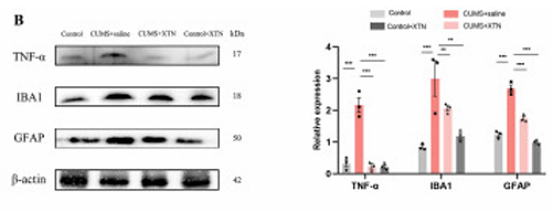 Wang Xiaohong,et al-4.png