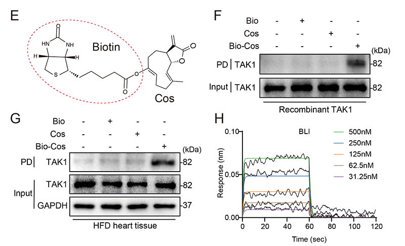 36332385 ET1705-14.png