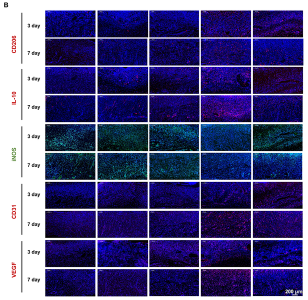 Wang Xingyou,et al-1.png