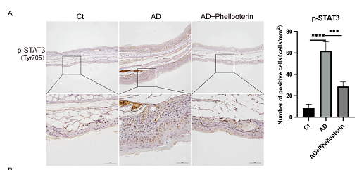 36179418 ET1603-40-1.png