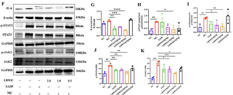 Wang Yingying,et al-2.png