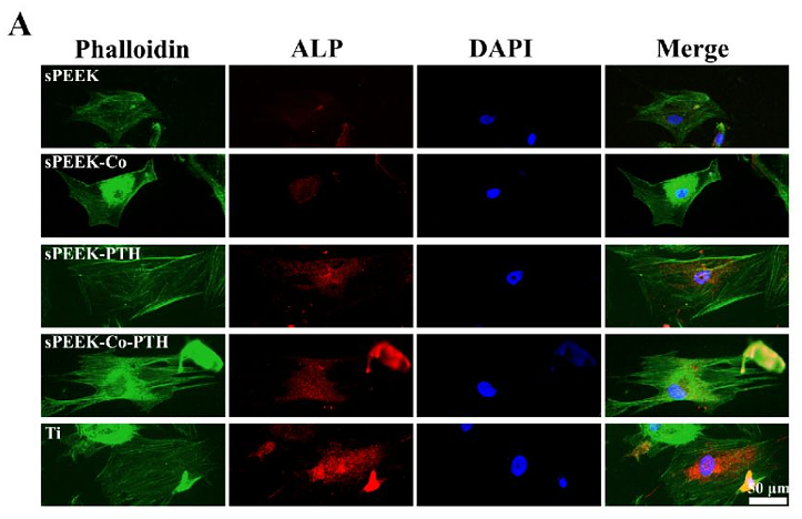 Zhang Jiajia,et al-1.png