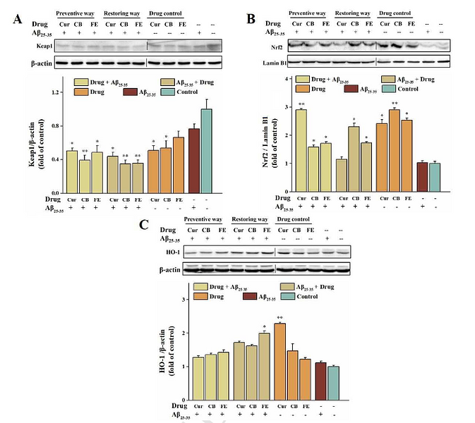 30946834 ET1606-27.png