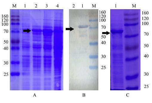 29102627 R1207-3.jpg