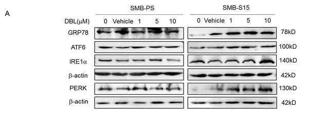 35303279 M1506-2.png