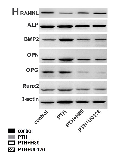 31026057 ET1601-21.png