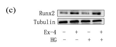 37034502 ET1612-47.png