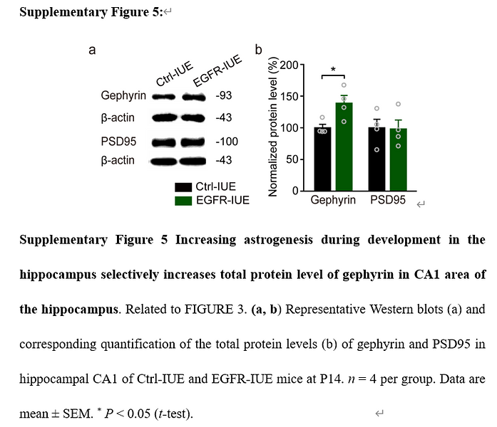 34498776 EM21002.png