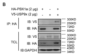 30718275 ET1605-41.png