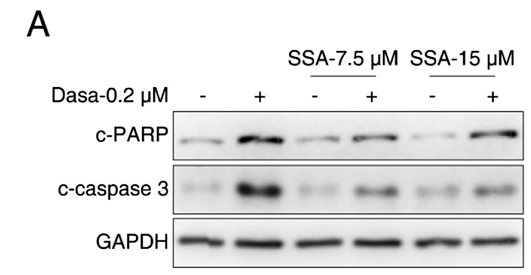 36375637 ET1602-47.png