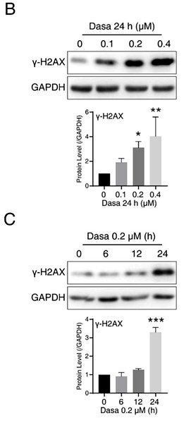 36375637 ET1602-2.png