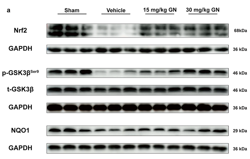 Song Meiying,et al-1.png