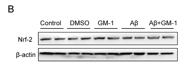 35635605 R1312-8.png