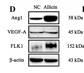 Peng Jie,et al-2.png