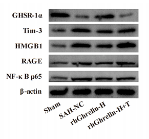 35863561 ET1603-12.png