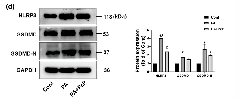 Luo Ruixi,et al-1.png