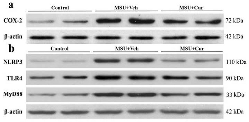 31455356 ET1610-23.png