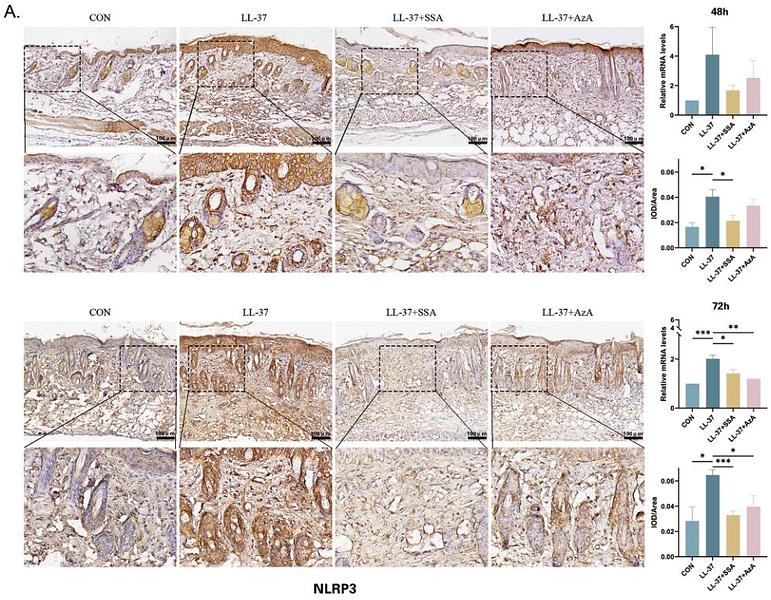 36989903 ET1610-93.jpg