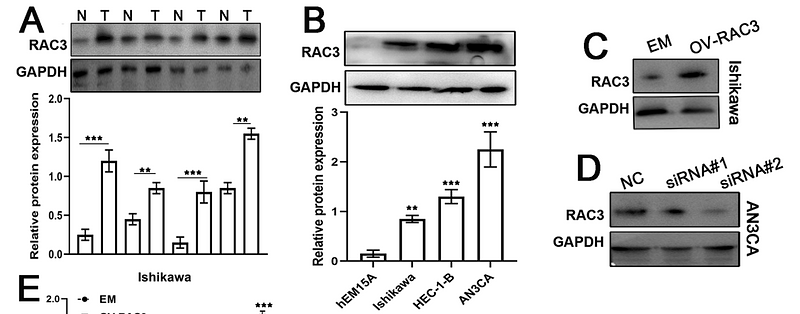 35917927 ET1601-4.png