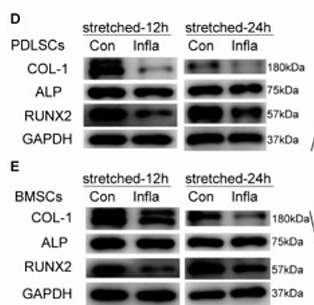 Liu Jiani,et al-2.png