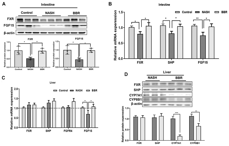 34603061 EM21002.png