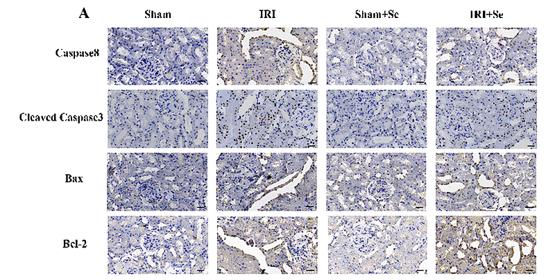 往年补图-377065640-HA 721235.png