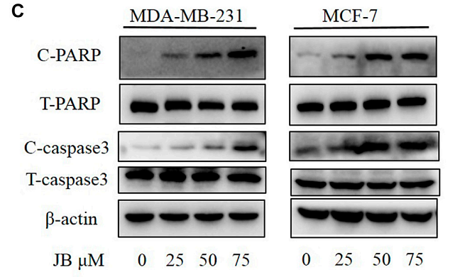 34630073 ET1602-47.png