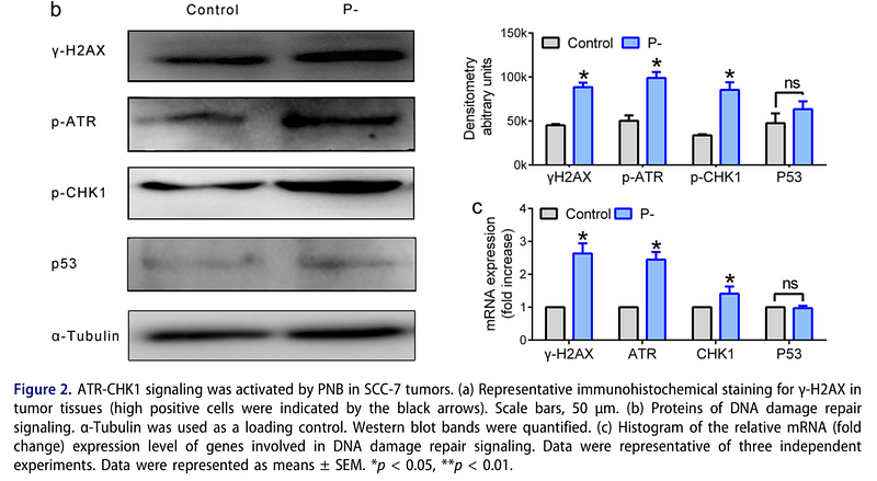 35734856 ET1705-31.png