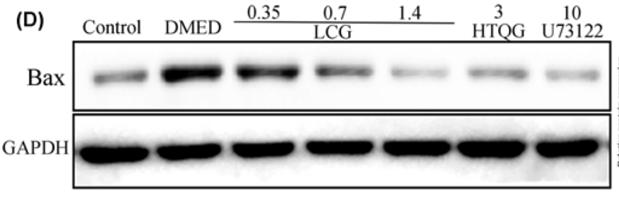 31922200 ET1601-4.png