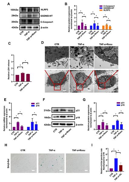 37222533 HA721144.jpg