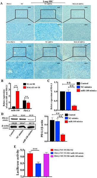 37332979 EM21002.jpg