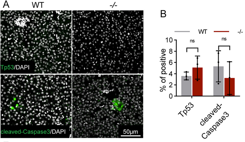 Li Xuehui,et al-2.png