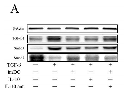 36608595 ET1607-41.png