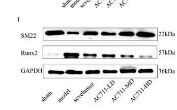 36076576 ET1612-47-1.jpg