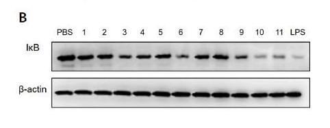 35395412 EM21002.jpg