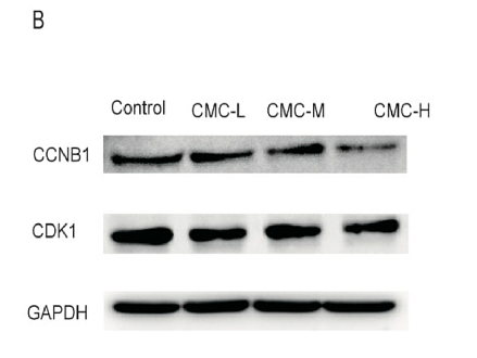 33932512 ET1608-27.png