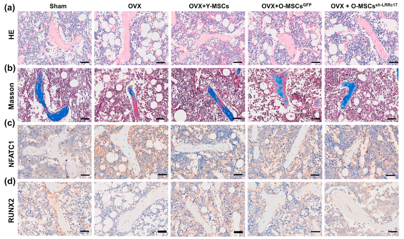 33865167 ET1612-47.png