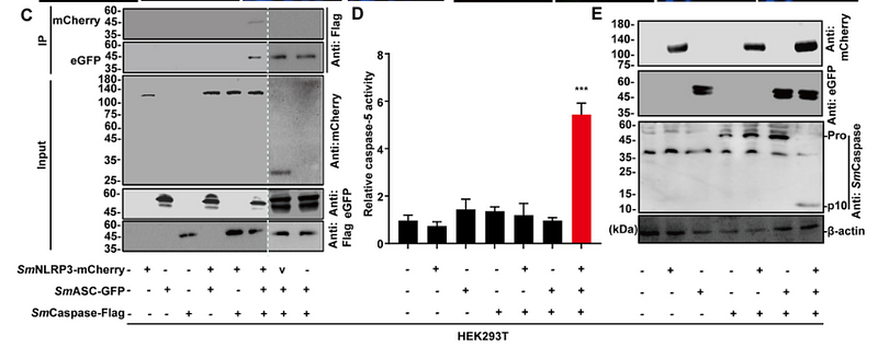 33794278 M1403-2.png