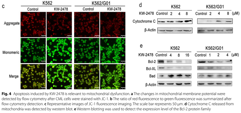 35624462 ET1610-60.png