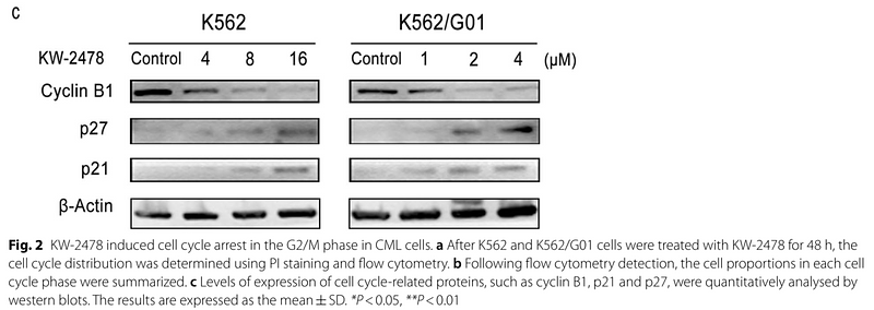 35624462 ET1608-27.png