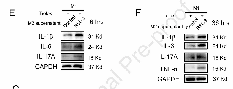 Feng Zhuan,et al-3.png