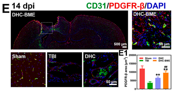 36746568 ET1605-20.png