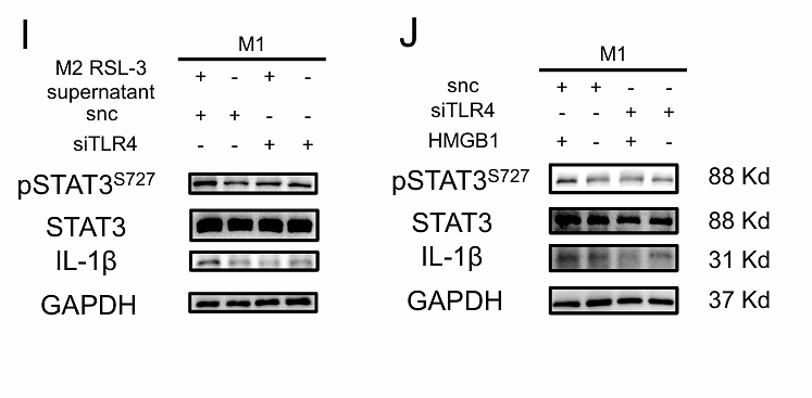 Feng Zhuan,et al-5.png