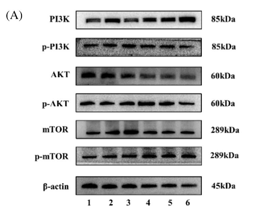 36694349 ET1609-51.png